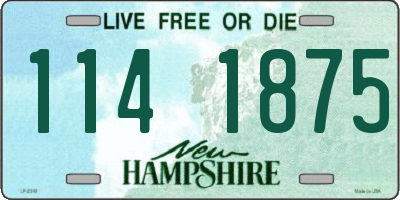 NH license plate 1141875
