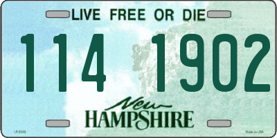 NH license plate 1141902