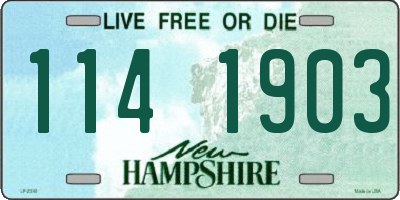 NH license plate 1141903