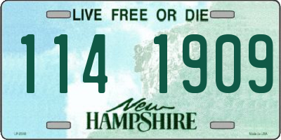 NH license plate 1141909