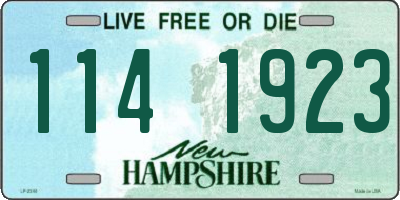 NH license plate 1141923