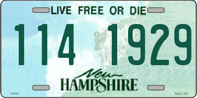NH license plate 1141929