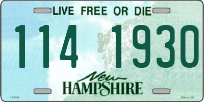NH license plate 1141930