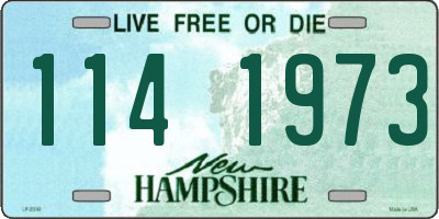 NH license plate 1141973