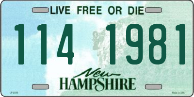 NH license plate 1141981