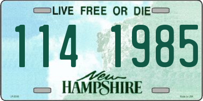 NH license plate 1141985