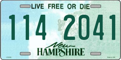 NH license plate 1142041