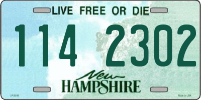 NH license plate 1142302