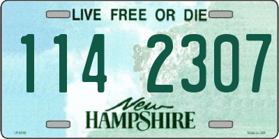 NH license plate 1142307