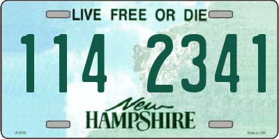 NH license plate 1142341