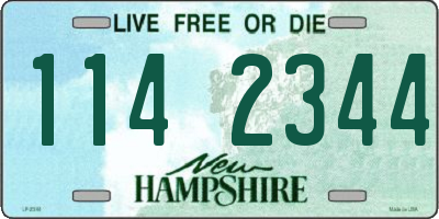 NH license plate 1142344