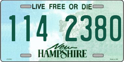 NH license plate 1142380