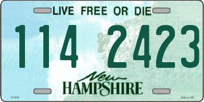 NH license plate 1142423