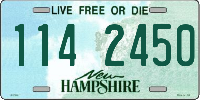 NH license plate 1142450