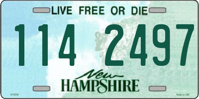 NH license plate 1142497