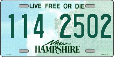 NH license plate 1142502