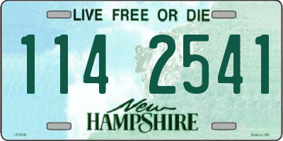 NH license plate 1142541