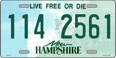 NH license plate 1142561