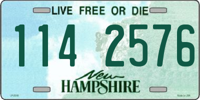 NH license plate 1142576