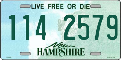 NH license plate 1142579