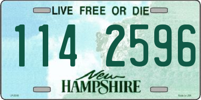 NH license plate 1142596