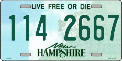 NH license plate 1142667