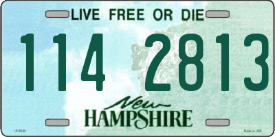 NH license plate 1142813