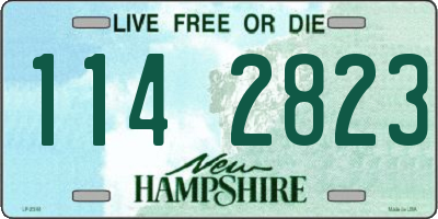 NH license plate 1142823