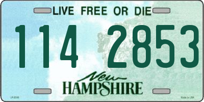 NH license plate 1142853