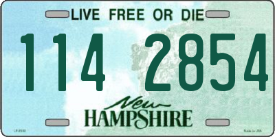 NH license plate 1142854
