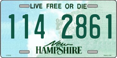 NH license plate 1142861