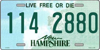 NH license plate 1142880