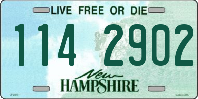 NH license plate 1142902