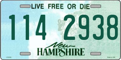 NH license plate 1142938