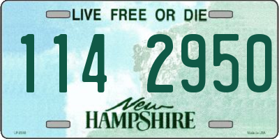 NH license plate 1142950