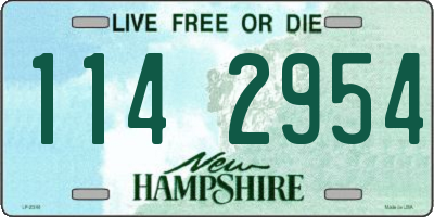 NH license plate 1142954