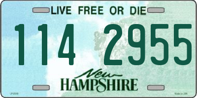 NH license plate 1142955