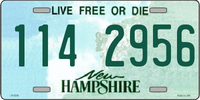 NH license plate 1142956