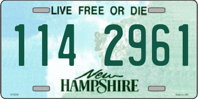NH license plate 1142961