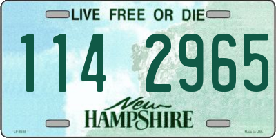 NH license plate 1142965
