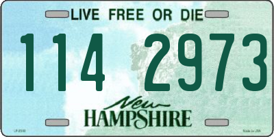 NH license plate 1142973