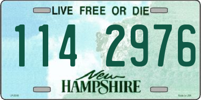 NH license plate 1142976