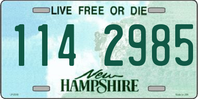 NH license plate 1142985