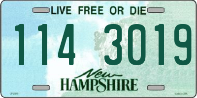 NH license plate 1143019