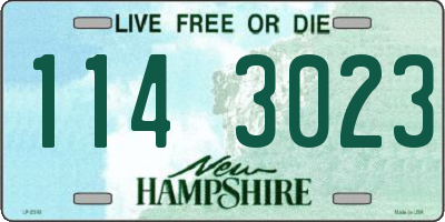 NH license plate 1143023