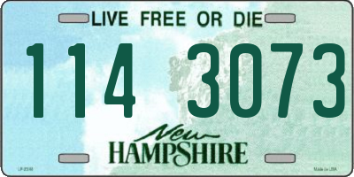 NH license plate 1143073
