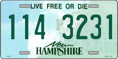 NH license plate 1143231