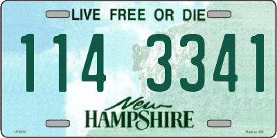 NH license plate 1143341