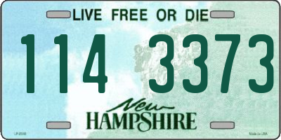 NH license plate 1143373