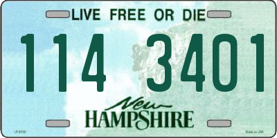 NH license plate 1143401